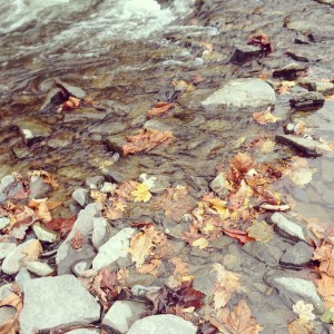 14085069476_d3147b5222_z