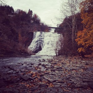 14104961461_dce4f9d1d2_z